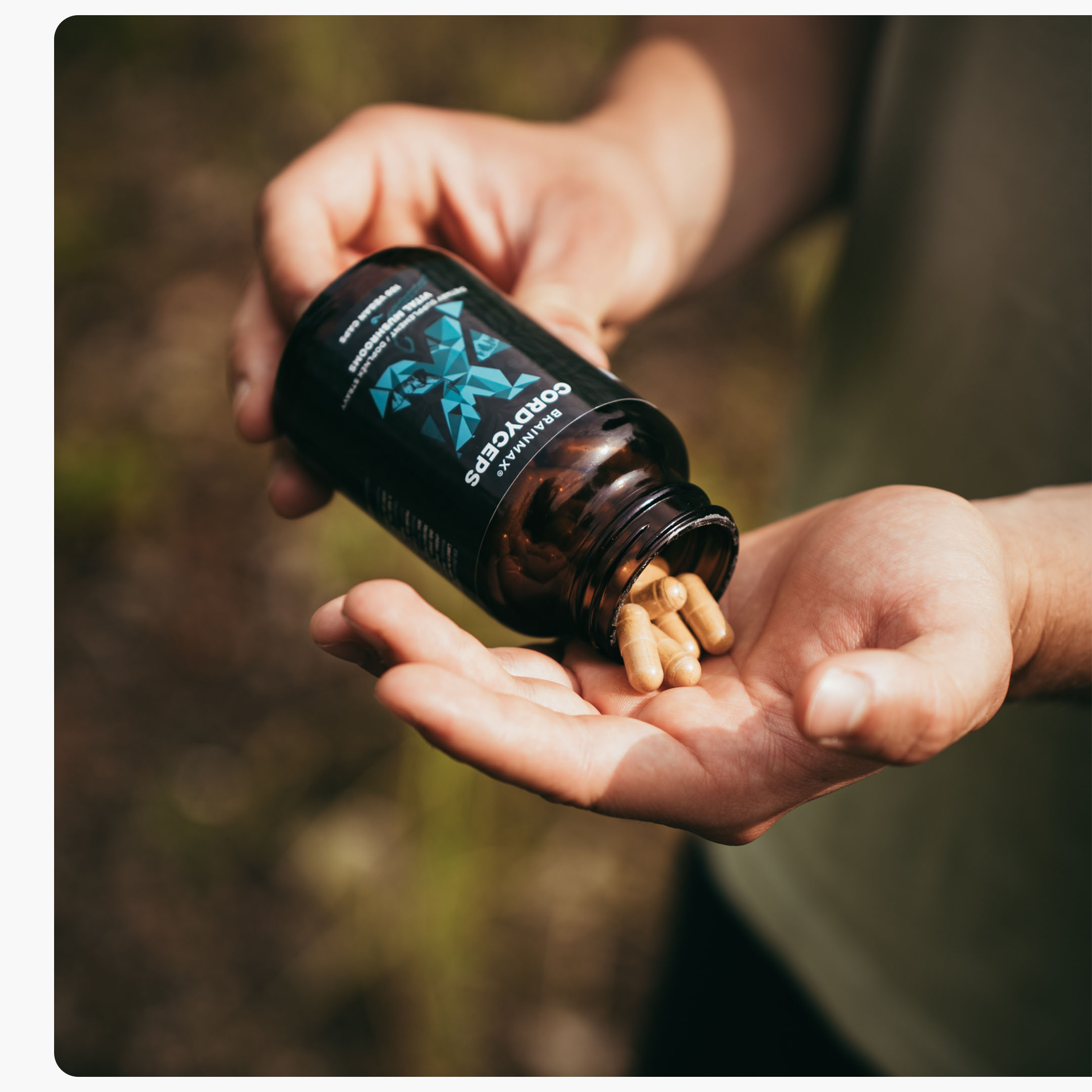 cordyceps produkt_5
